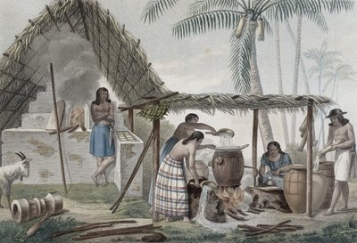 Näkymä tislaamosta Guamin saarella, Pomelin kaivertamasta Voyage Autour du Monde sur les Corvettes de L